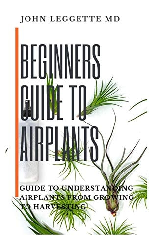 Beginners Guide to Air Plants Guide to Understanding Air Plants from Growing to Harvesting
