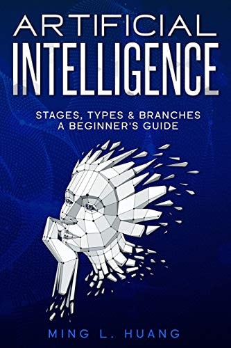 Artificial Intelligence. Stages, Types & Branches. a Beginner's Guide