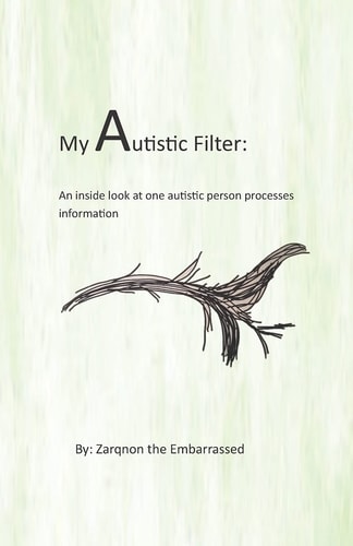 My Autistic Filter An Inside Look at How One Autistic Person Processes Information