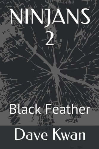Ninjans 2 Black Feather