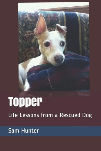 Topper Life Lessons from a Rescued Dog