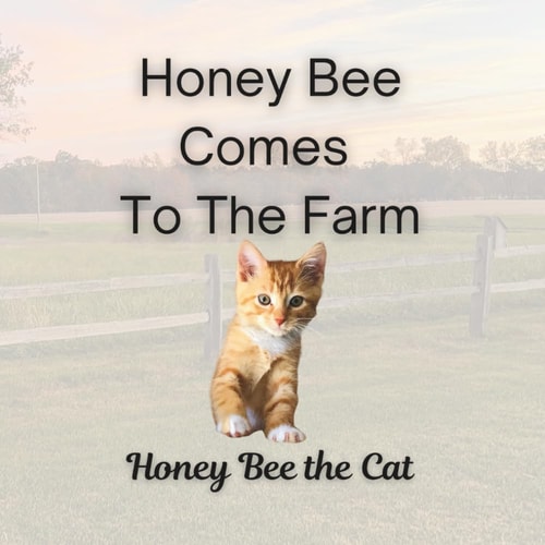 Honey Bee Comes To The Farm