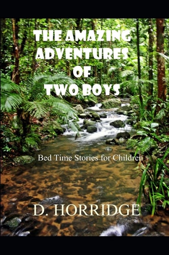The Amazing Adventures of Two Boys Bed Time Stories for Children