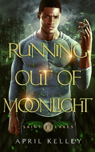 Running Out of Moonlight (Saint Lakes #2) An M/M Dragon Shifter Romance