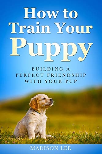 How To Train Your Puppy Building A Perfect Friendship With Your Pup