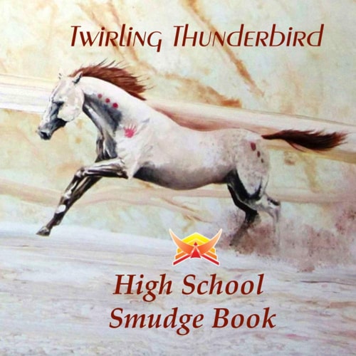 High School Smudge Book Teacher Aid for Student High School and Post Secondary Children Learning to Smudge. a Beginners Guide for Teens. a Teaching Tool for Young Adults to Learn Smudging