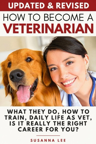 How to Become a Veterinarian What They Do, How To Train, Daily Life As Vet, Is It Really The Right Career For You?