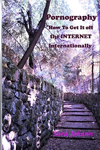 Pornography How To Get It Off the Internet Internationally