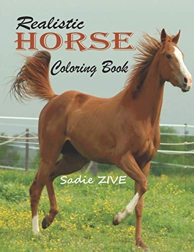 Realistic Horse Coloring Book Wonderful World of Horses Coloring Book: An Adult Coloring Book for Horse Lovers; Big Book of Horses to Color; Horse Coloring Books for Adults Relaxation (Horse Coloring Books for Adults)