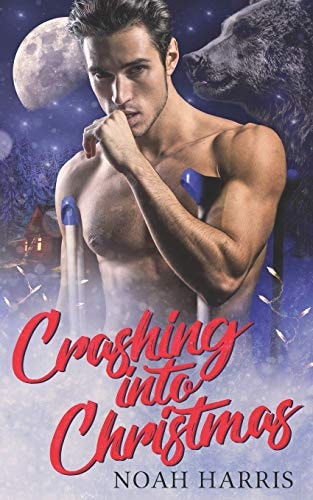 Crashing Into Christmas A Christmas Story