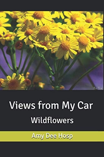 Views from My Car Wildflowers