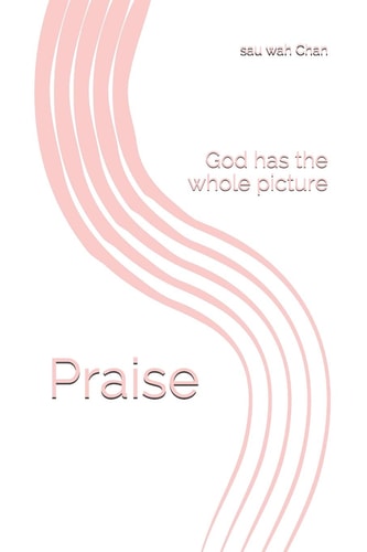 Praise God Has the Whole Picture