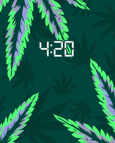 4 20: Cannabis Review Book to Track and Rate Marijuana * Skull and Weed Pattern