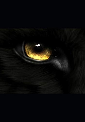 Wolf Resolutions: Book 7 of the WOLF Series.