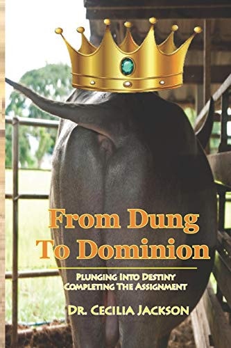 From Dung To Dominion Plunging Into Destiny, Completing The Assignment