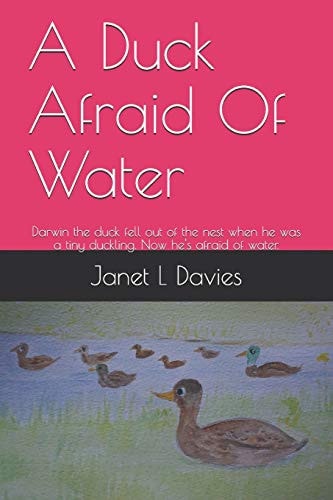 A Duck Afraid of Water Darwin the Duck Fell Out of the Nest When He Was a Tiny Duckling. Now He's Afraid of Water