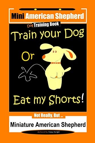 Mini American Shepherd Dog Training, Train Your Dog Or Eat My Shorts! Not Really, But... Miniature American Shepherd