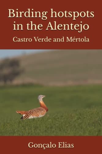 Birding Hotspots in the Alentejo Castro Verde and Mértola