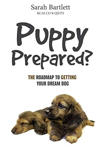Puppy Prepared? The Roadmap to Getting Your Dream Dog