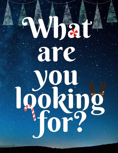 What Are You Looking For Christmas - Finding Game - Can You Find It?