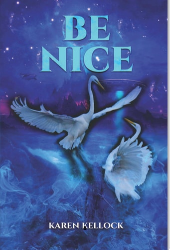 BE NICE