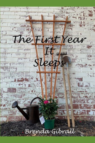 The First Year It Sleeps