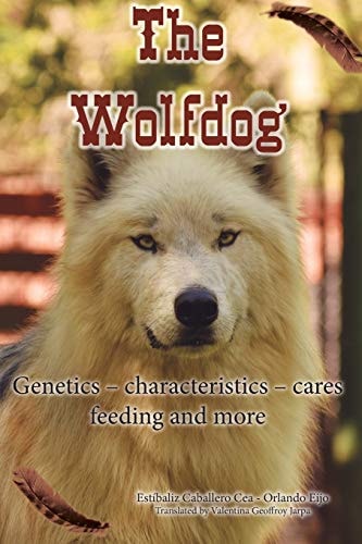The Wolfdog Genetics - Characteristics - Cares - Feeding and More