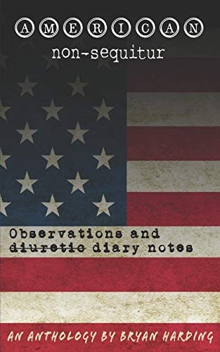 American Non-Sequitur Observations and Diary Notes