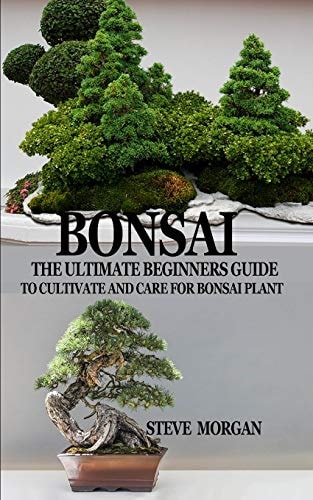 Bonsai The Ultimate Guide to Cultivate and Care for Bonsai Plant
