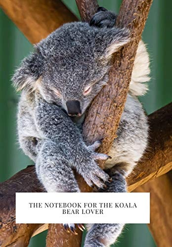 For the Koala Bear Lover