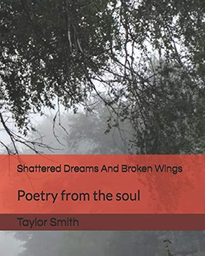 Shattered Dreams And Broken Wings Poetry from the Soul