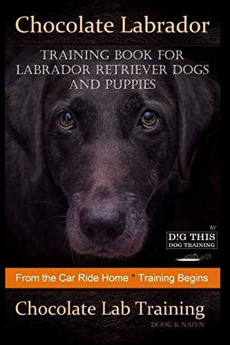 Chocolate Labrador Training Book for Labrador Retriever Dogs and Puppies By D!G THIS DOG Training From the Car Ride Home Training Begins Chocolate Lab Training