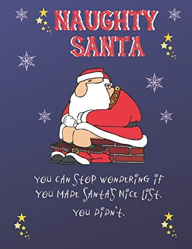 Naughty Santa You Can Stop Wondering If You Made Santa's Nice List, You Didn't