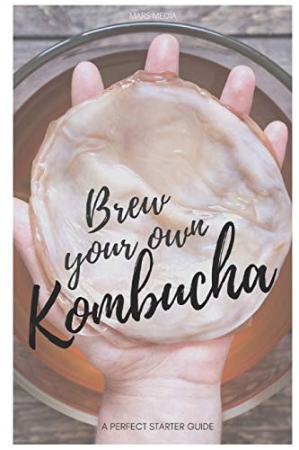 Brew Your Own Kombucha A Perfect Starter Guide