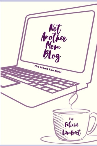 Not Another Mom Blog Book 1: the Moms You Meet