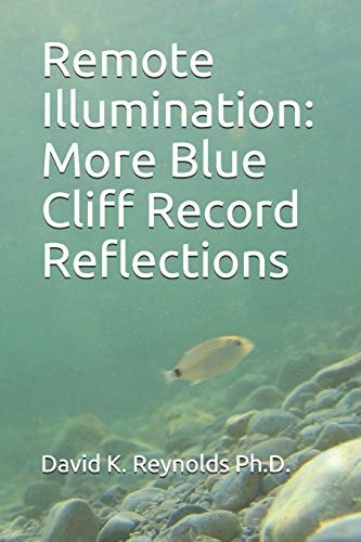 Remote Illumination More Blue Cliff Record Reflections