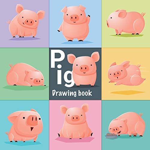 PIG Drawing Book