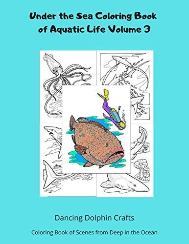 Under the Sea Coloring Book of Aquatic Life Volume 3 Coloring Book of Scenes from Deep in the Ocean
