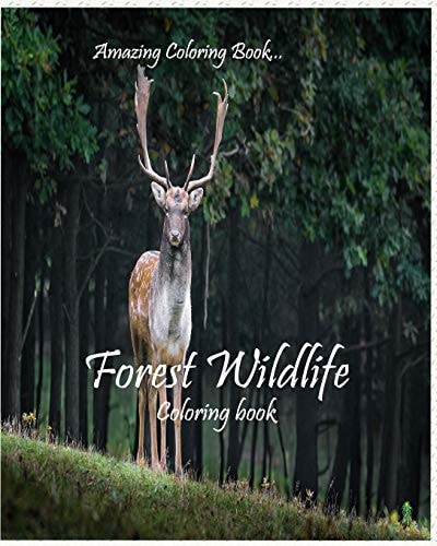 Forest Wildlife Fun, Easy, Coloring Book with Cute Animals