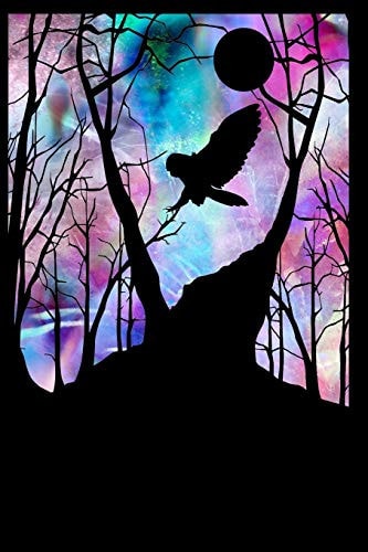 Owl In Flight At Night
