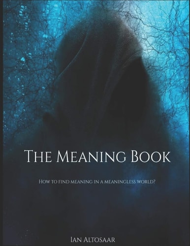 The Meaning Book How to Find Meaning in a Meaningless World?