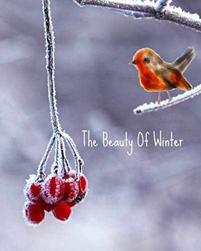 The Beauty of Winter Mind Mapper