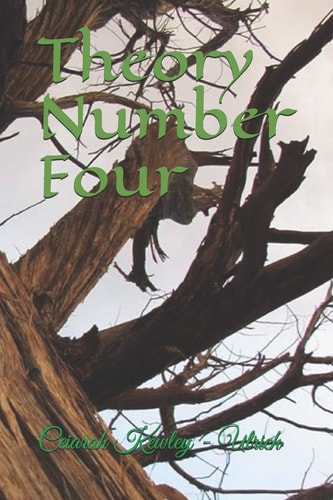 Theory Number Four Blind Man's Bridge