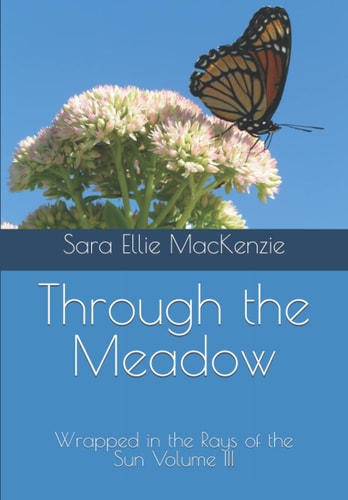 Through the Meadow Wrapped in the Rays of the Sun Volume III