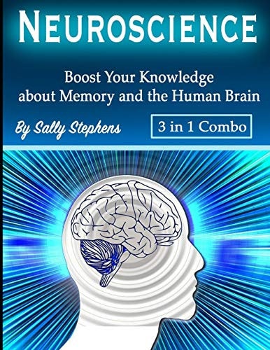 Neuroscience Boost Your Knowledge about Memory and the Human Brain