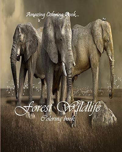 Forest Wildlife Wildlife Coloring Book
