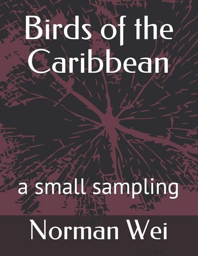 Birds of the Caribbean A Small Sampling