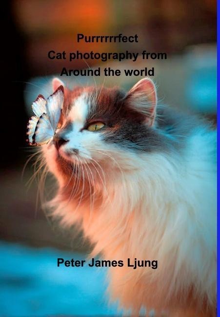 PURRRRRRFECT Cat photography: Photographers from around the world