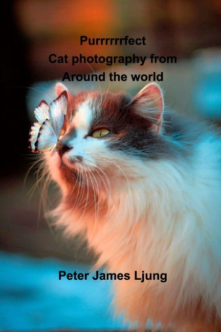 PURRRRRRFECT Cat photography: Photographers from around the world