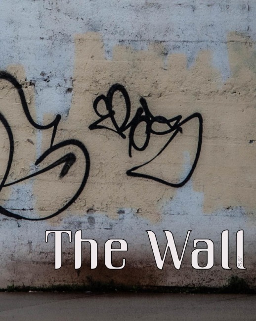 The Wall: 15 Days Quarantine, BJS Photography